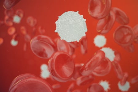 Cellule del sangue ottenute da strutture 3d simili a embrioni