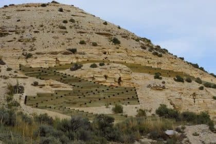 Scheletri di 6. 000 anni fa trovati in colombia: dna mai visto prima