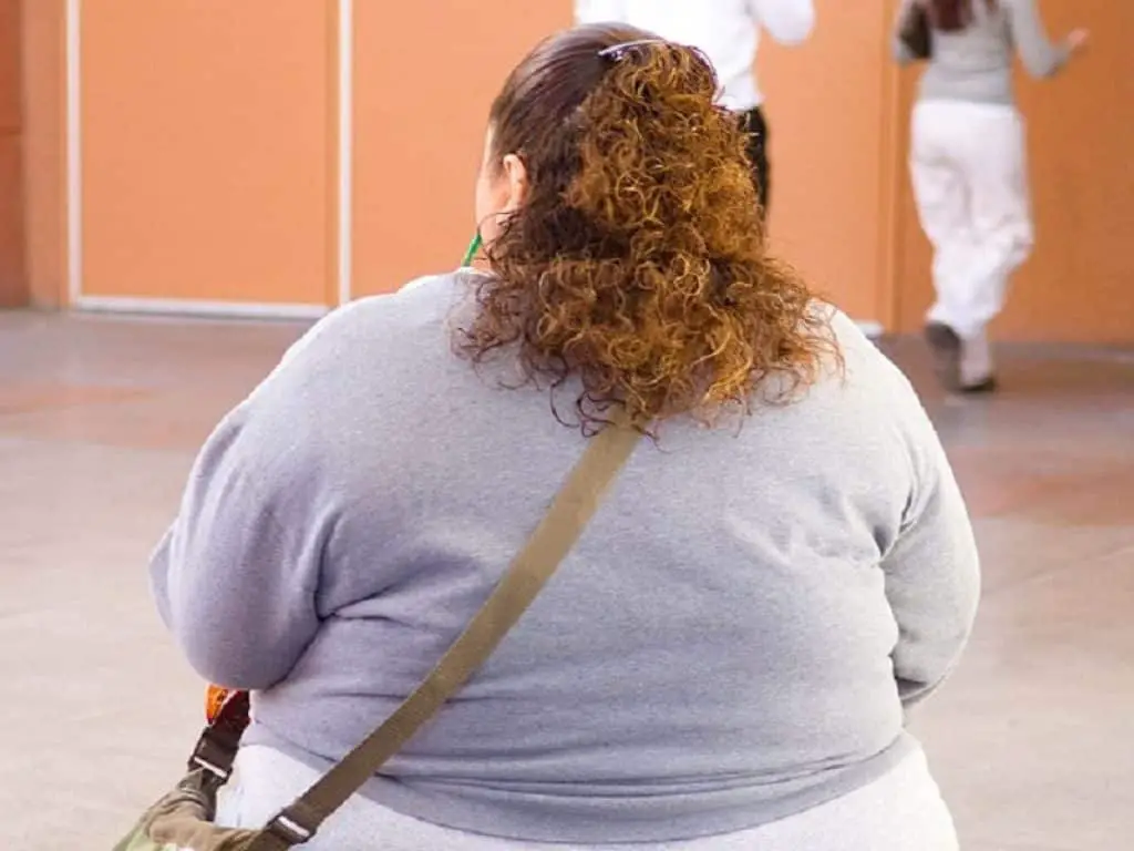 Sindrome metabolica, obesità
