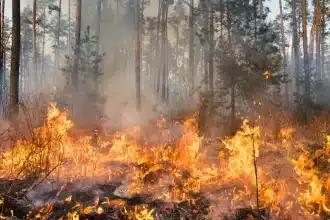 Incendi in spagna e portogallo: le immagini satellitari mostrano focolai, fumo e smog