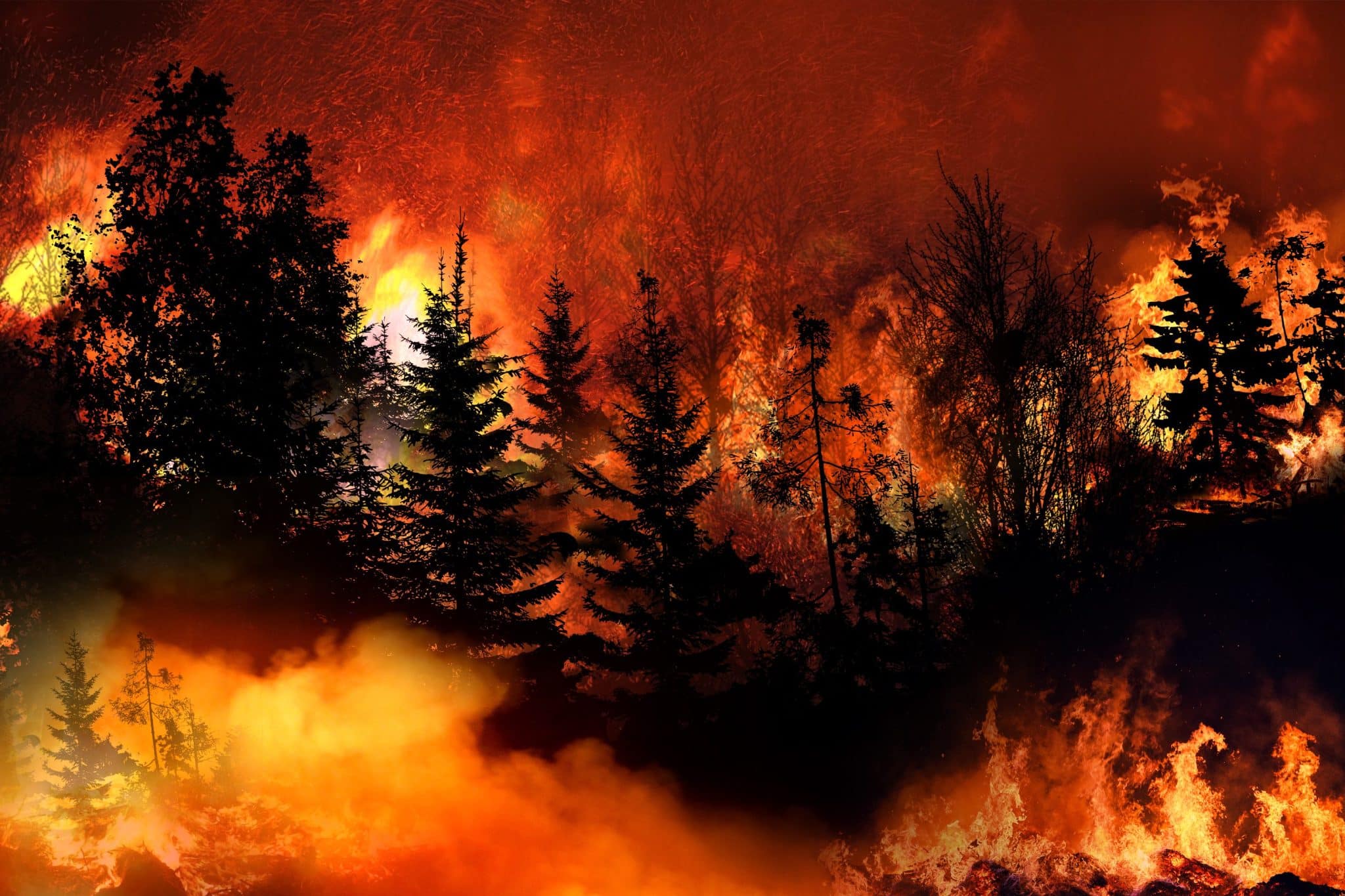 In che modo gli incendi influiscono sulla salute mentale? %in che modo gli incendi influiscono sulla salute mentale? Count(title)% Incendi