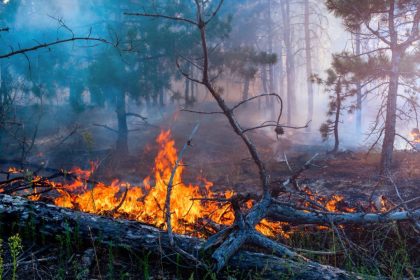 Incendi