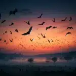 La vita segreta dei pipistrelli: curiosità e fatti sorprendenti