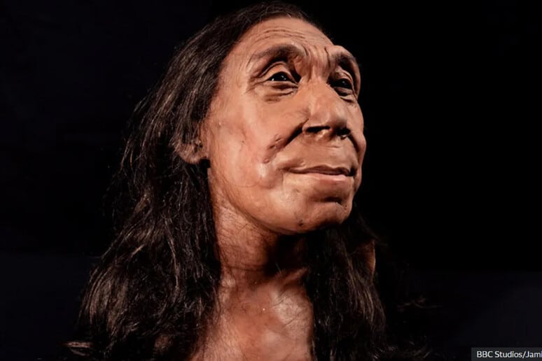 donna Neanderthal Shanidar Z