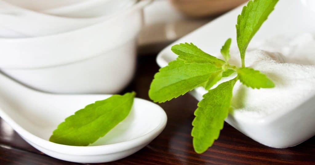 Stevia