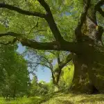 Biodiversità