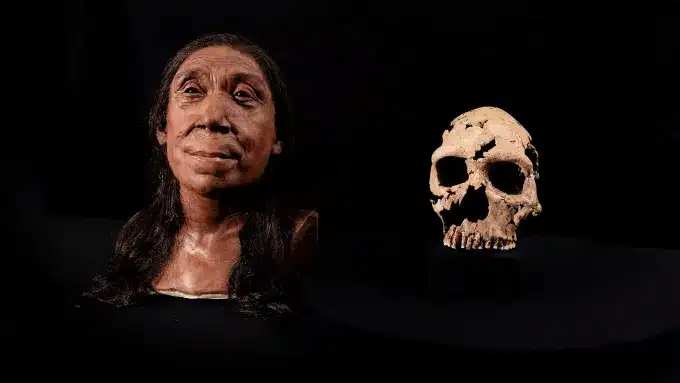 donna Neanderthal Shanidar Z