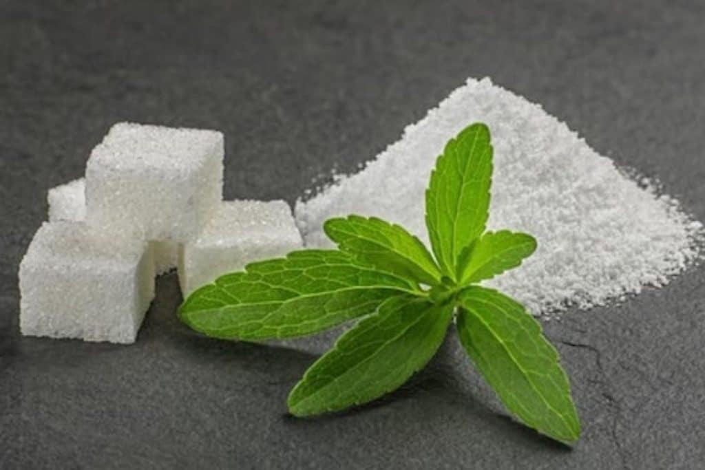 Stevia