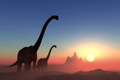 Dinosauri | caldo estremo | dinosauri a sangue caldo
