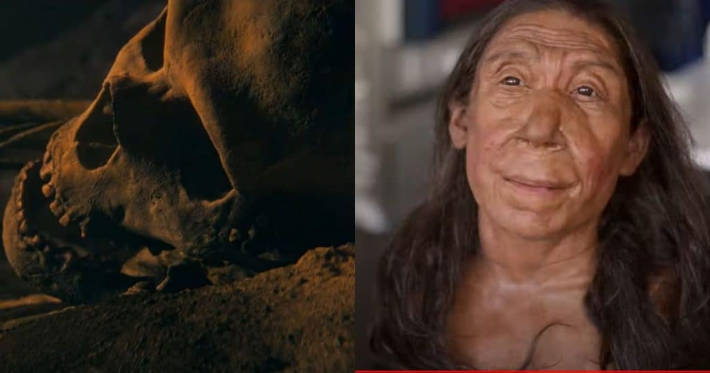 Donna neanderthal shanidar z