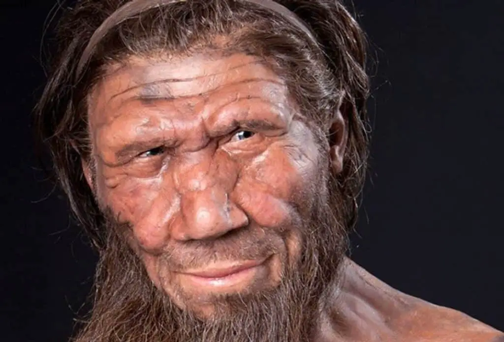 Neanderthal 
