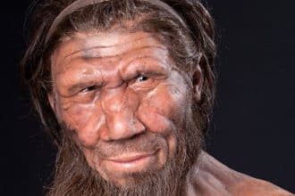 Neanderthal