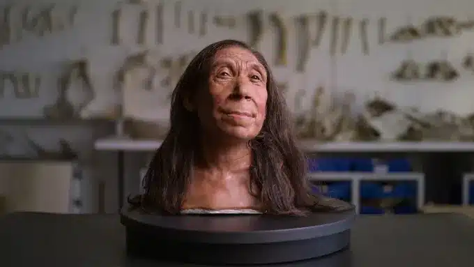 donna Neanderthal Shanidar Z