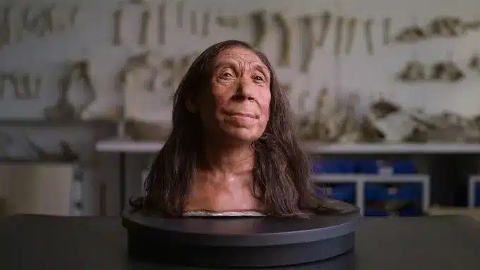 Donna neanderthal shanidar z