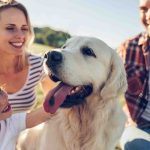 Posso adottare un cane se lavoro 8 ore al giorno? (forse non come pensi) %posso adottare un cane se lavoro 8 ore al giorno? (forse non come pensi)count(title)% Posso adottare un cane se lavoro 8 ore al giorno? (forse non come pensi)