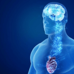 Macrofagi polmonari: come l’immunità di tipo 2 cambia l’influenza %macrofagi polmonari: come l’immunità di tipo 2 cambia l’influenzacount(title)% Macrofagi polmonari: come l’immunità di tipo 2 cambia l’influenza