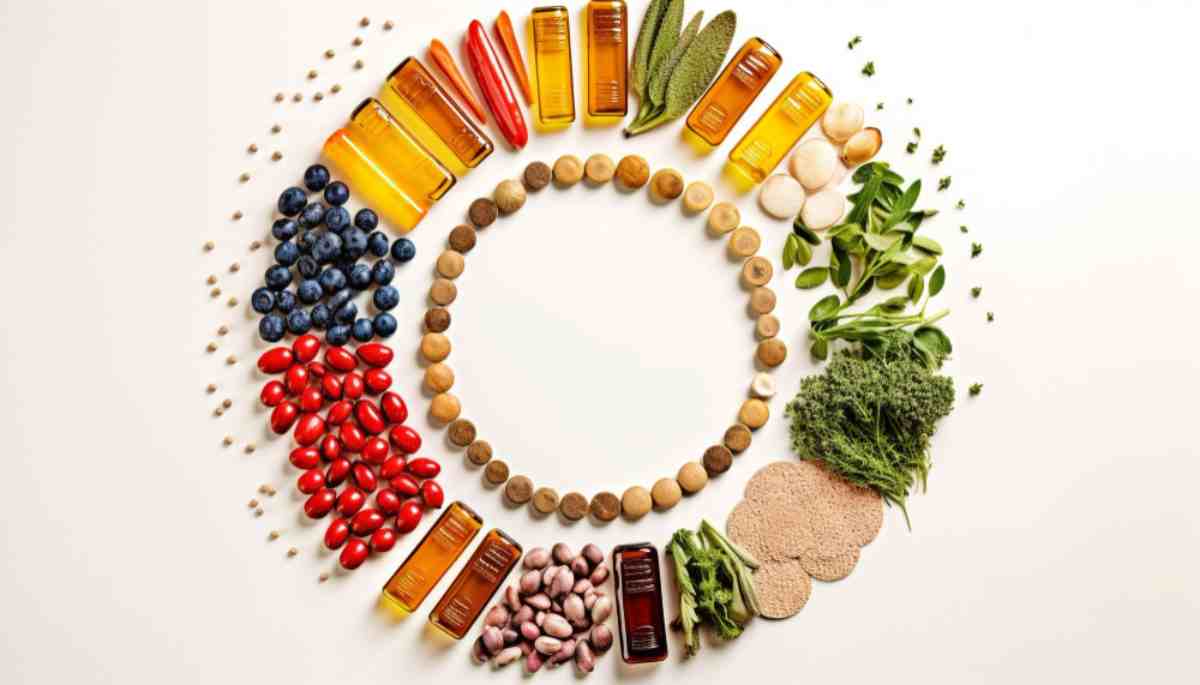 Proteine vegetali e animali
