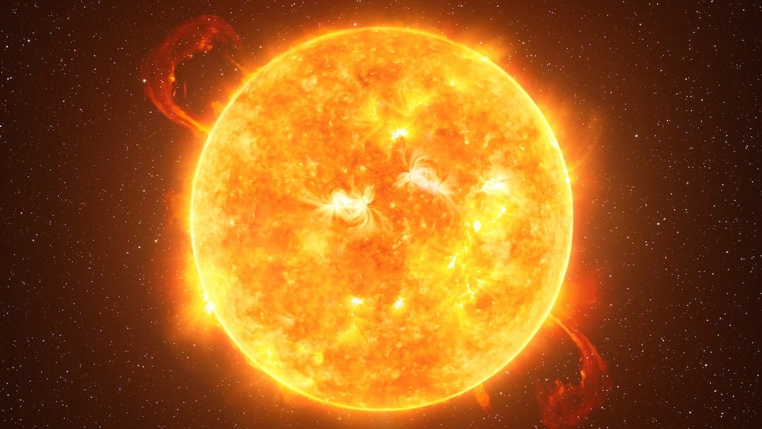 Sole