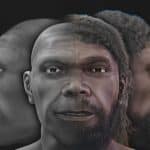 Ecco il volto di irhoud, il più antico homo sapiens finora noto