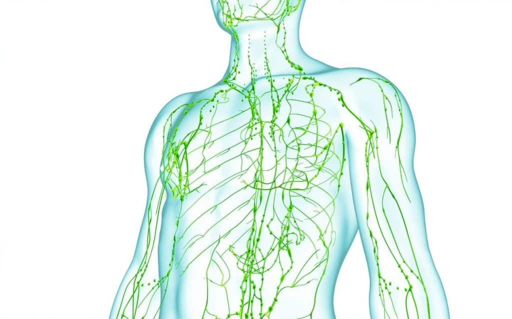 Linfedema