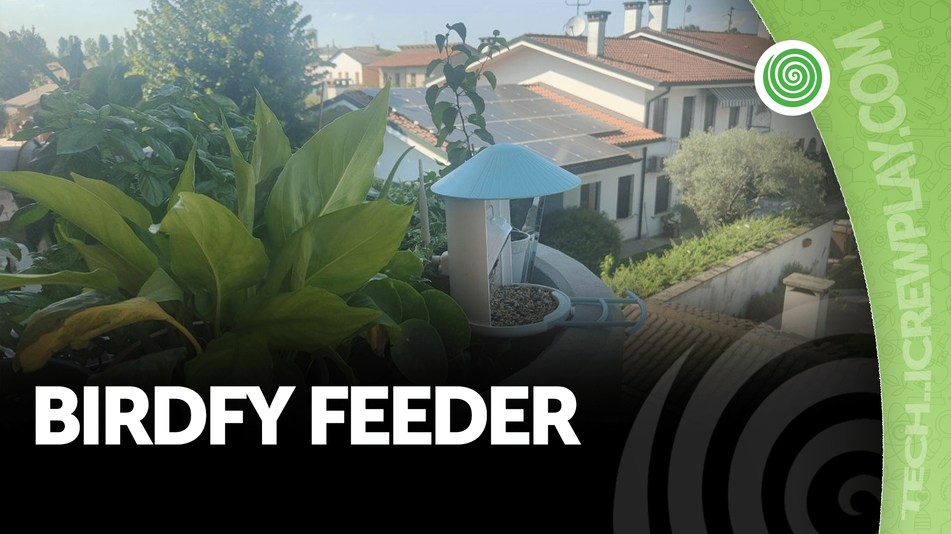 Birdfy Feeder