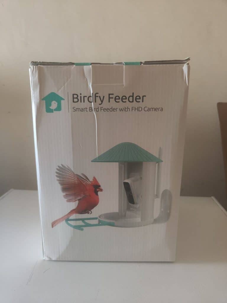 Birdfy feeder