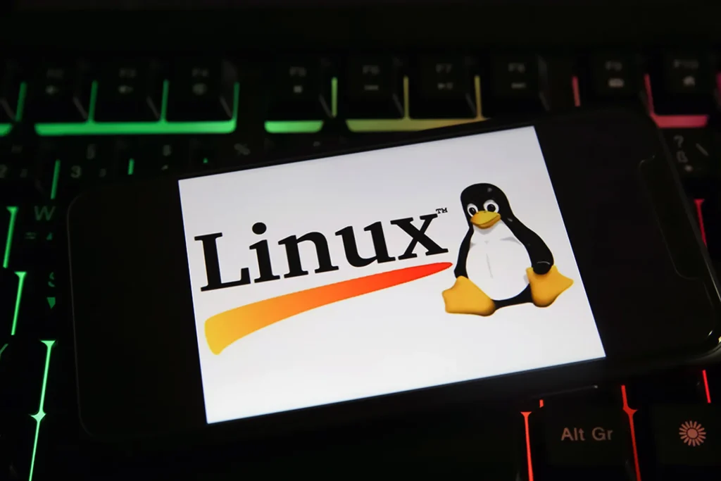 Slubstick, nuova tecnica di sfruttamento kernel linux