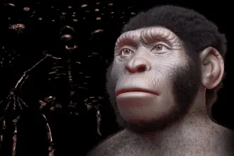 Homo naledi