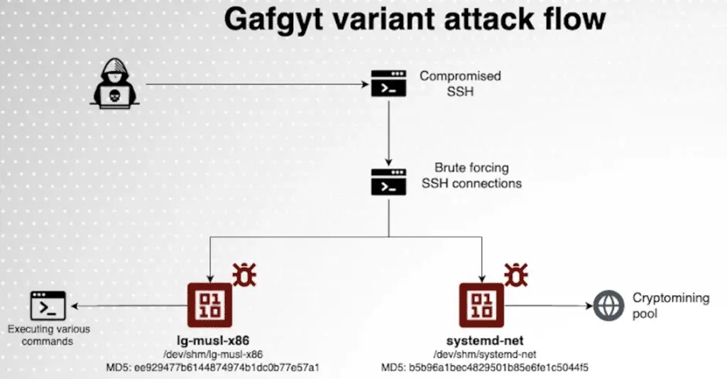 Botnet gafgyt: nuova variante colpisce miner criptovalute