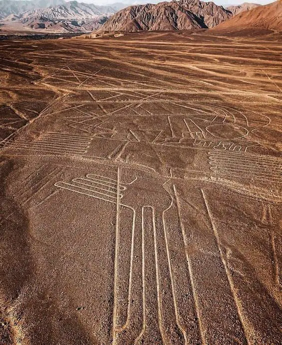 300 linee di nazca scoperte