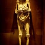 Il mistero del formaggio più antico del mondo: scoperto sulle mummie cinesi %il mistero del formaggio più antico del mondo: scoperto sulle mummie cinesicount(title)% Il mistero del formaggio più antico del mondo: scoperto sulle mummie cinesi