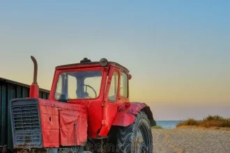 Spiaggia alghe