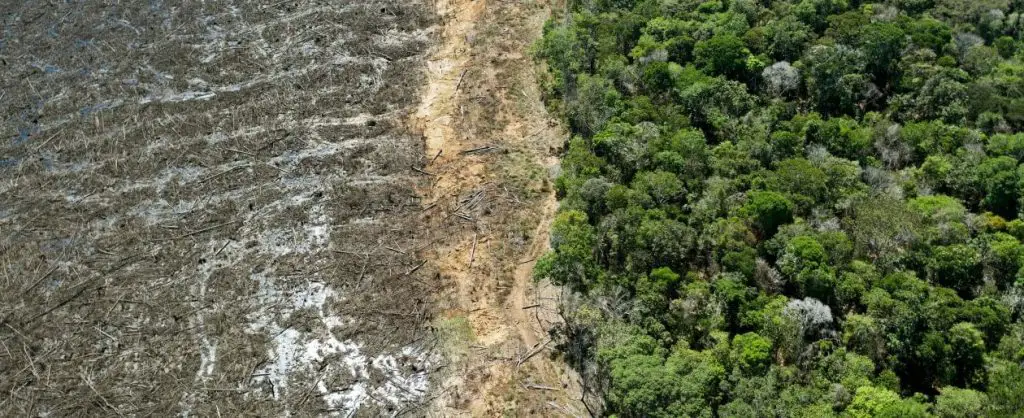 Ue: rinviata legge sulla lotta alla deforestazione