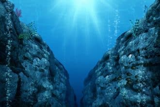 Oceano artico | oceani
