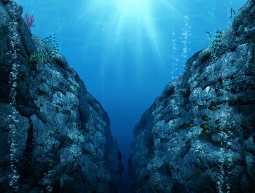 Oceano artico | oceani