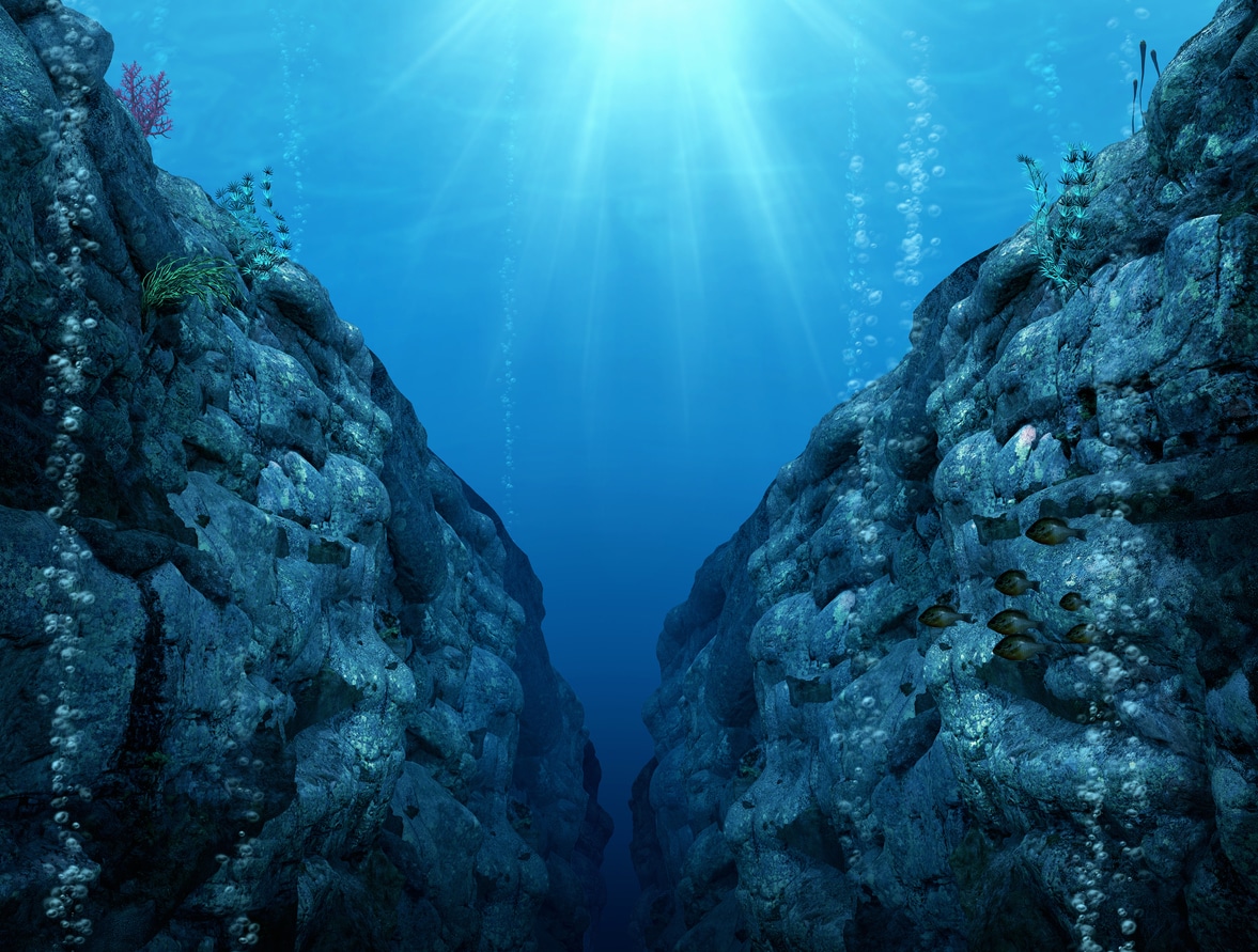 Oceano artico | oceani