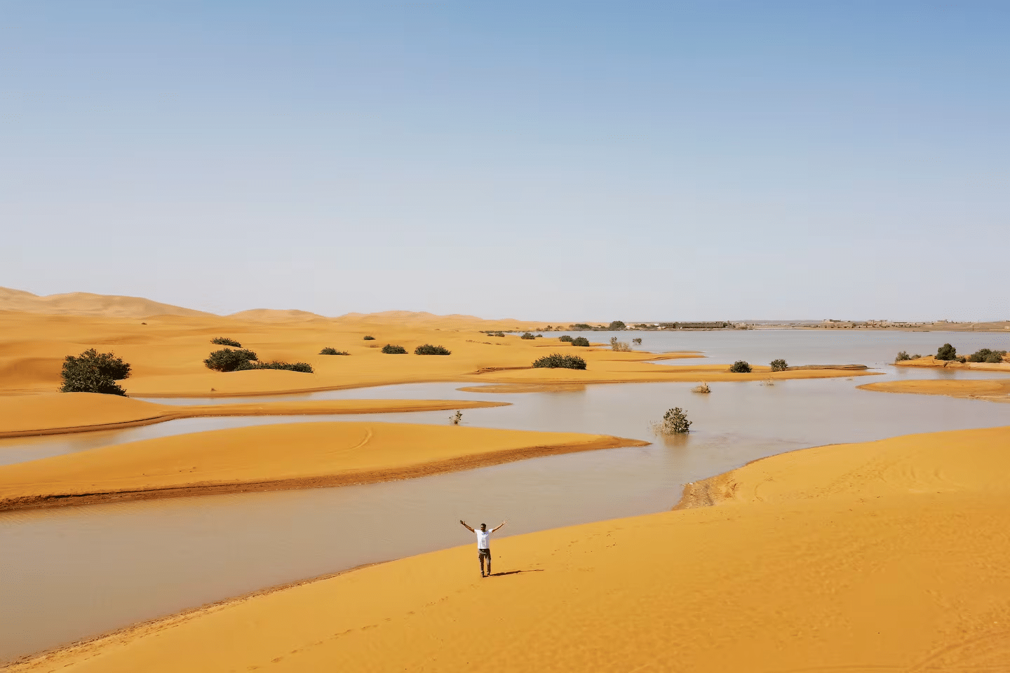 Sahara
