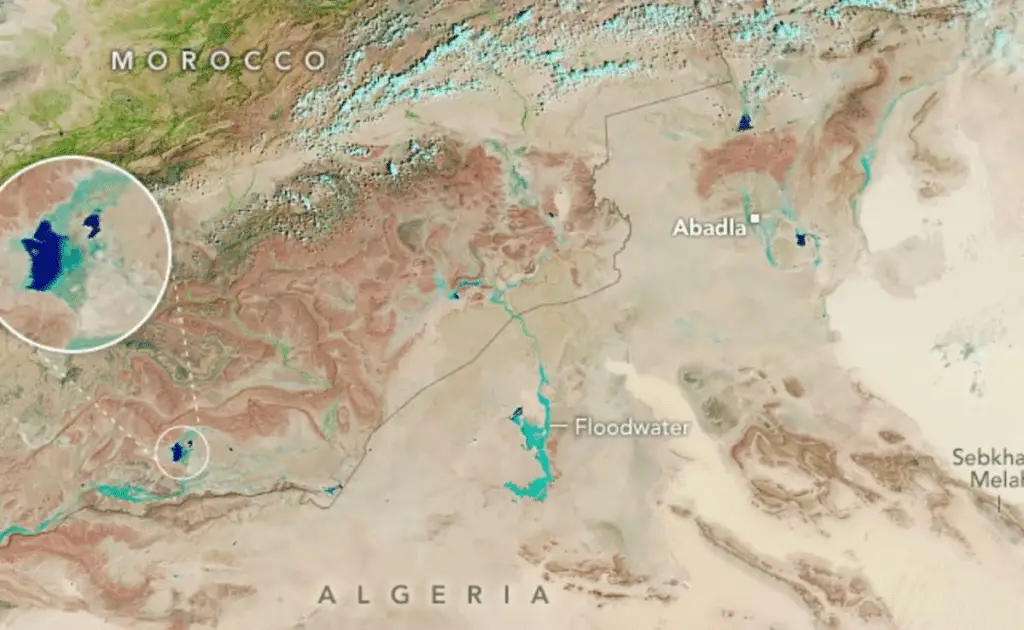 Sahara: inondato per la prima volta negli ultimi 50'anni