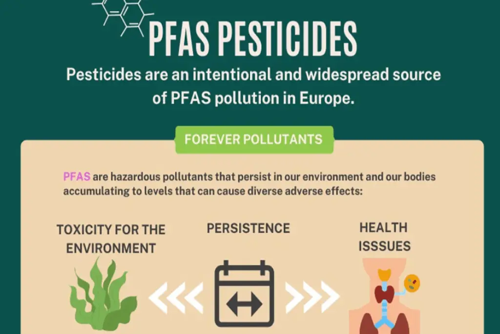 Pfas: 99% delle acque imbottigliate sono contaminate