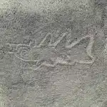 Orca assassina con coltello tra i 303 nuovi glifi di nazca individuati dall'ai