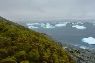 Penisola antartica