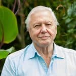 L'allarme di david attenborough sull'uso dell'intelligenza artificiale %l'allarme di david attenborough sull'uso dell'intelligenza artificialecount(title)% L'allarme di david attenborough sull'uso dell'intelligenza artificiale