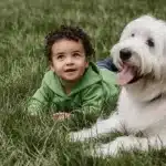 Il piccolo francesco e alma, il cane bianco che gli ha cambiato la vita (l'unione che ha sconfitto il pregiudizio) %il piccolo francesco e alma, il cane bianco che gli ha cambiato la vita (l'unione che ha sconfitto il pregiudizio)count(title)% Il piccolo francesco e alma, il cane bianco che gli ha cambiato la vita (l'unione che ha sconfitto il pregiudizio)