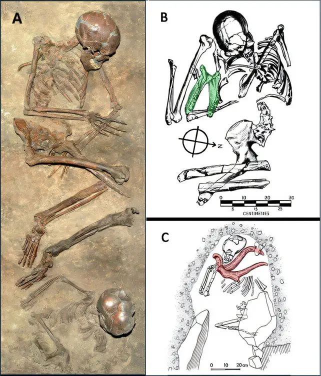 Neanderthal