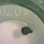 Grani di asteroide rivelano un passato magnetico nascosto del nostro sistema solare (ci siamo persi qualcosa di fondamentale? ) %grani di asteroide rivelano un passato magnetico nascosto del nostro sistema solare (ci siamo persi qualcosa di fondamentale? )count(title)% Grani di asteroide rivelano un passato magnetico nascosto del nostro sistema solare (ci siamo persi qualcosa di fondamentale? )