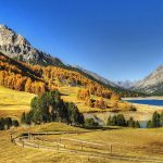 Orme e gocce di pioggia: un ecosistema preistorico riaffiora in valtellina %orme e gocce di pioggia: un ecosistema preistorico riaffiora in valtellinacount(title)% Orme e gocce di pioggia: un ecosistema preistorico riaffiora in valtellina