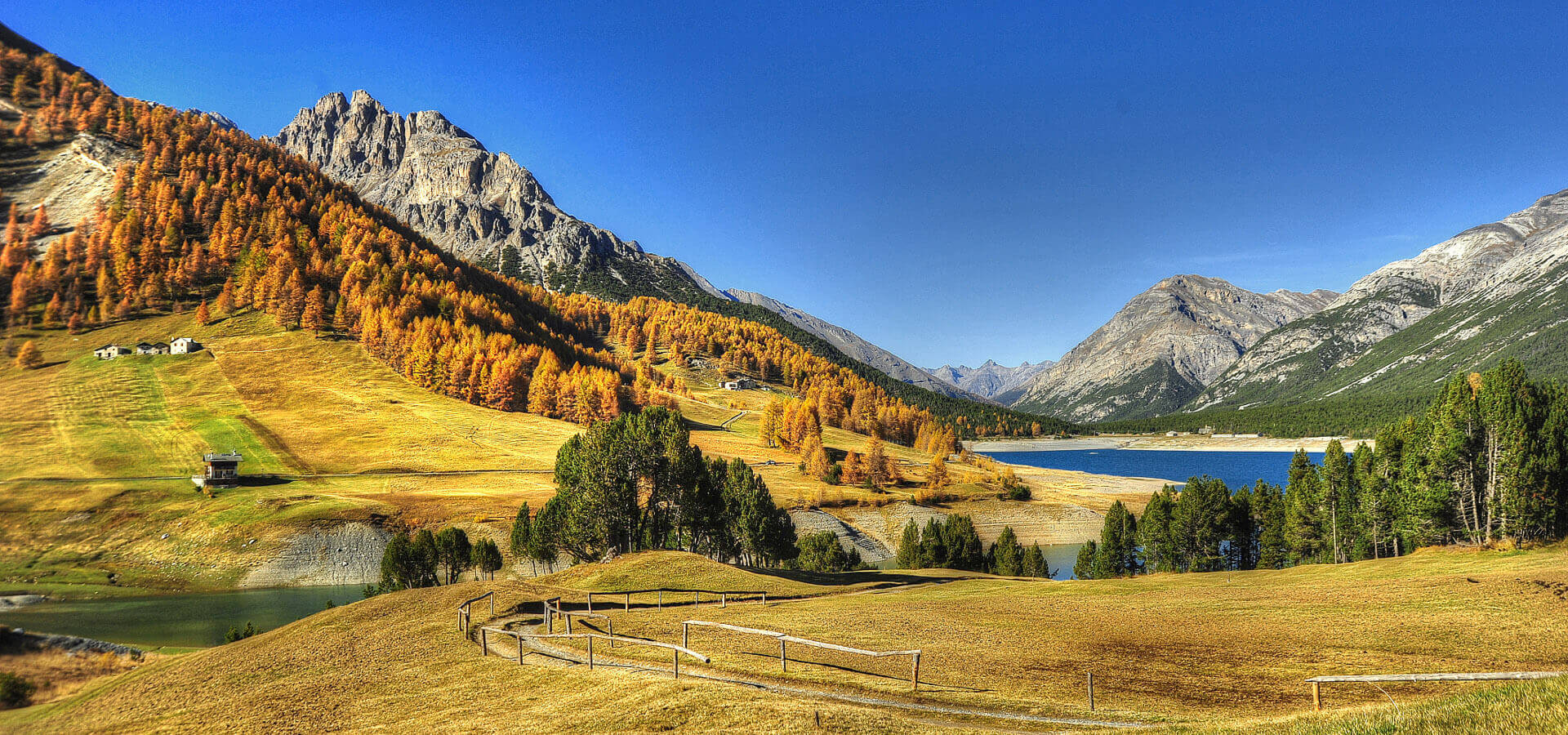 Orme e gocce di pioggia: un ecosistema preistorico riaffiora in valtellina %orme e gocce di pioggia: un ecosistema preistorico riaffiora in valtellinacount(title)% Valtellina