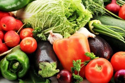 Dieta paleo, un mito sfatato: nuovo studio indica una dieta più varia per i nostri antenati