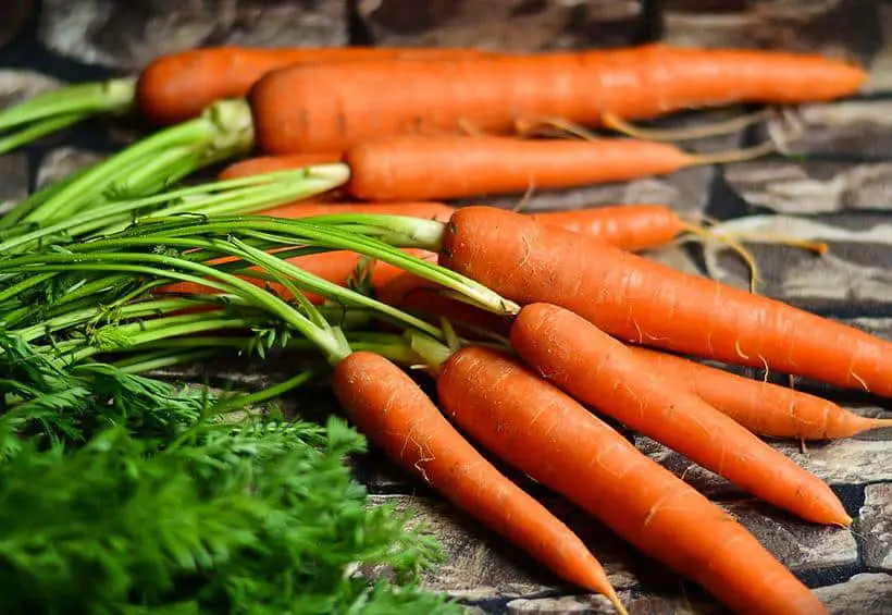 Le 5 verdure più nutrienti da cotte