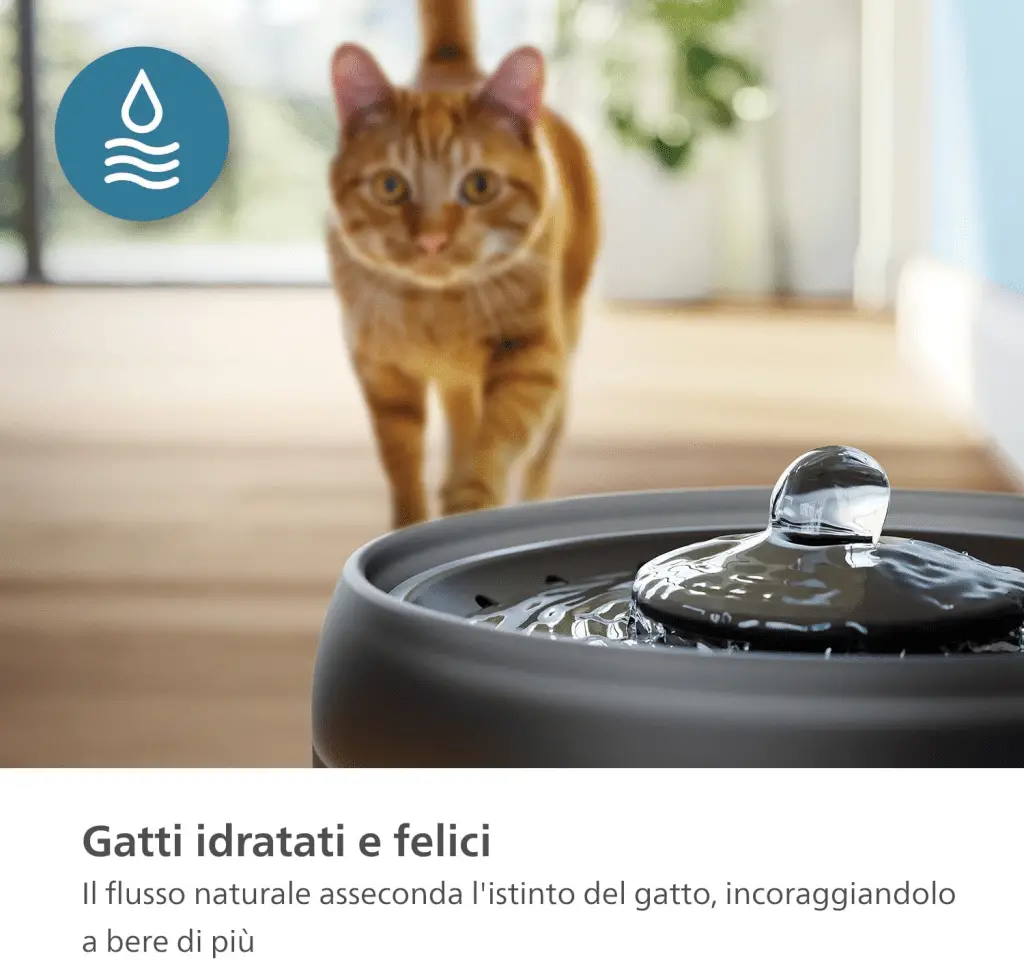 Philips pet series: la fontanella per gatti con 4 filtri